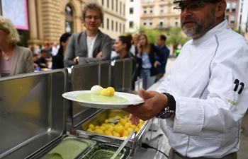 Highlights of Green Sauce Festival in Frankfurt, Germany