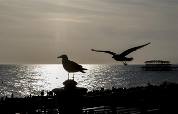 In pics: beach of Brighton in Britain