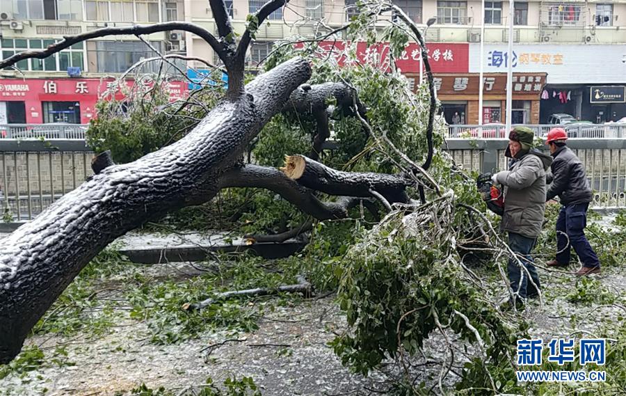 （新華全媒頭條）（7）雨雪冰凍中，他們奮力前行——基層黨員干群抗擊冰雪災(zāi)害紀(jì)實