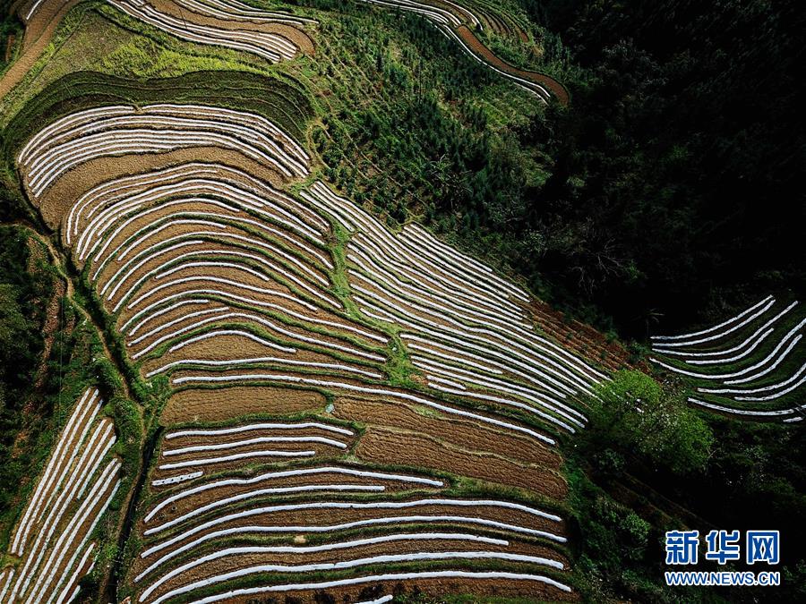 （春季美麗生態(tài)）（4）飛閱邊關山田春景