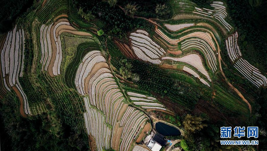 （春季美麗生態(tài)）（15）飛閱邊關山田春景