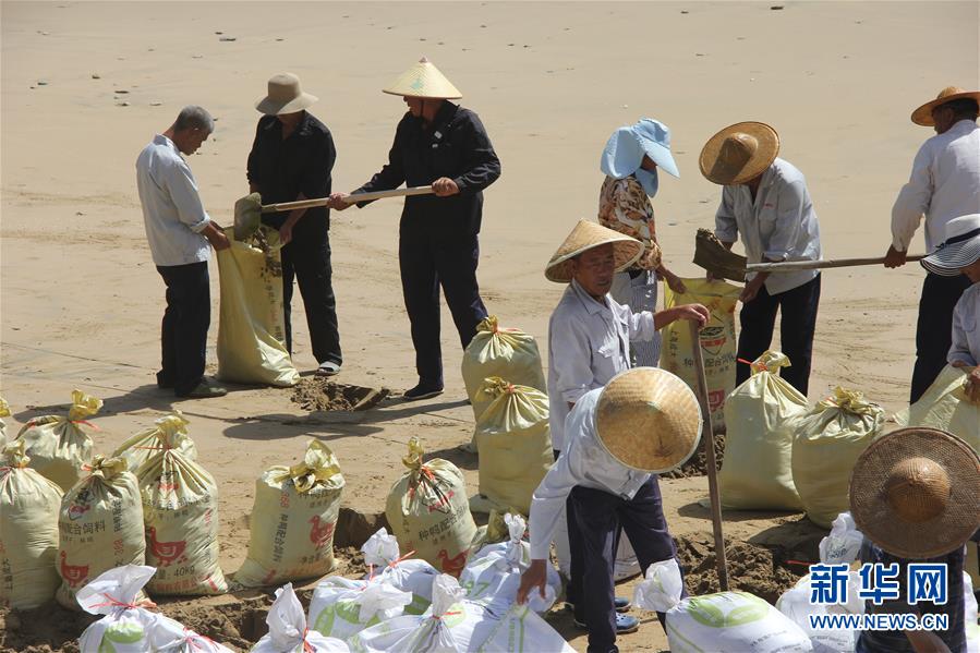 #（環(huán)境）（3）“瑪莉亞”將以強臺風級直接登陸閩浙