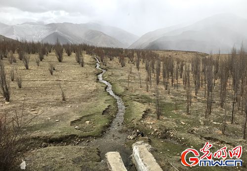 【新時代·幸福美麗新邊疆】昔日紅色精神流入血脈 今朝邊疆處處開遍幸福花