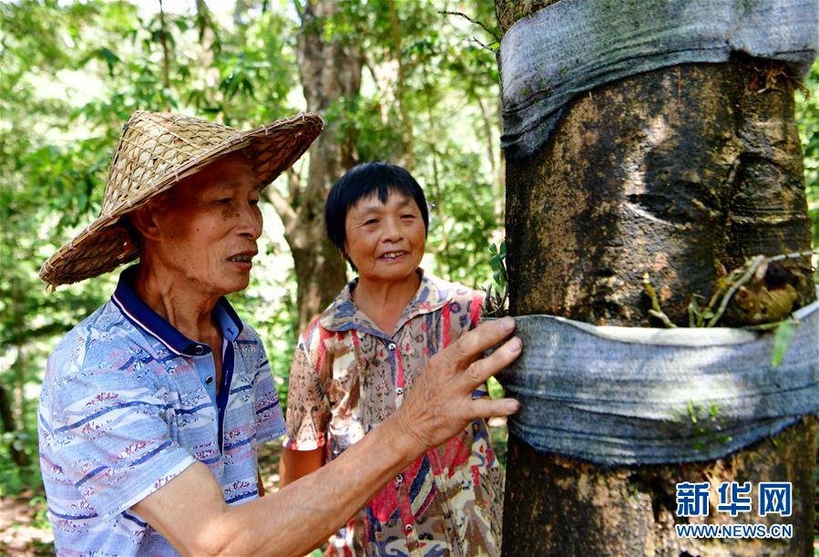 （新華全媒頭條·壯闊歷程40年系列述評(píng)·圖文互動(dòng)）（2）風(fēng)雨砥礪 壯麗史詩——從改革開放40年看中國(guó)奇跡