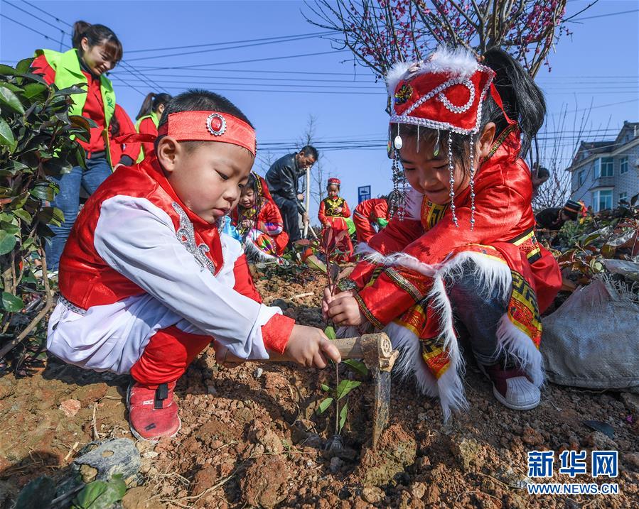 （社會(huì)）（2）多民族兒童共迎植樹節(jié)