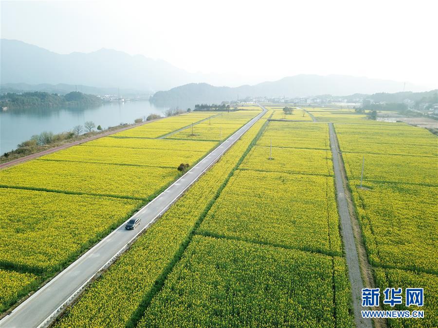 （新華全媒頭條·兩會精神看落實(shí)·圖文互動）（4）保持戰(zhàn)略定力 跨越重要關(guān)口——落實(shí)兩會精神加強(qiáng)生態(tài)文明建設(shè)述評