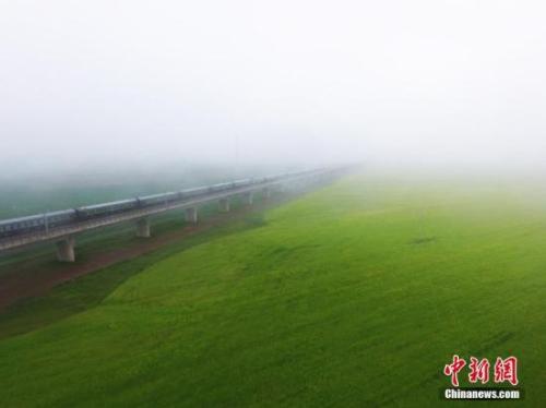 資料圖：動(dòng)車組穿越雨霧中的油菜花海宛若穿越時(shí)空。 楊艷敏 攝