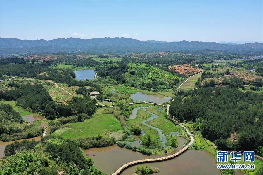 (壯麗70年·奮斗新時代·圖文互動）（2）福建長汀：換顏“山光水濁” 永駐綠水青山