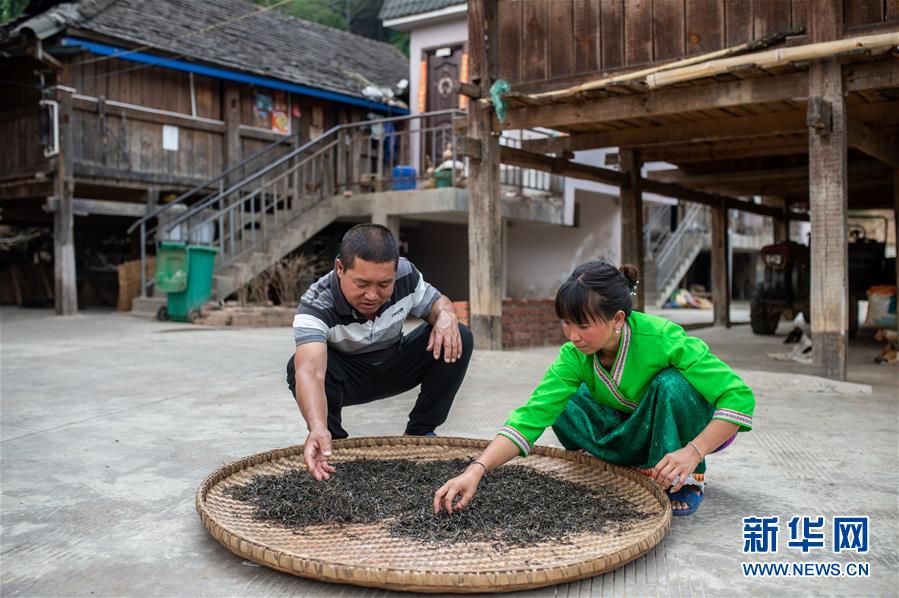 （決戰(zhàn)決勝脫貧攻堅·圖文互動）（5）“孩子再也不用學打獵了”——拉祜族女獵手告別狩獵