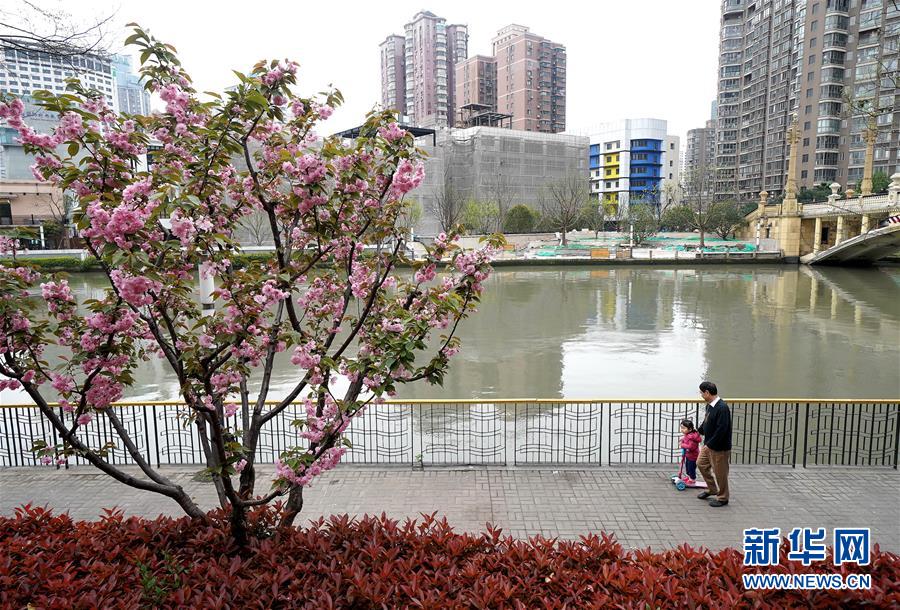 （新華全媒頭條·走向我們的小康生活·圖文互動(dòng)）（12）城市，讓人民生活更美好