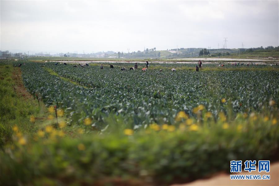 （新華全媒頭條·走向我們的小康生活·決戰(zhàn)決勝脫貧攻堅·圖文互動）（4）千年之渴今朝解——貴州貧困群眾實現(xiàn)“吃水不愁”