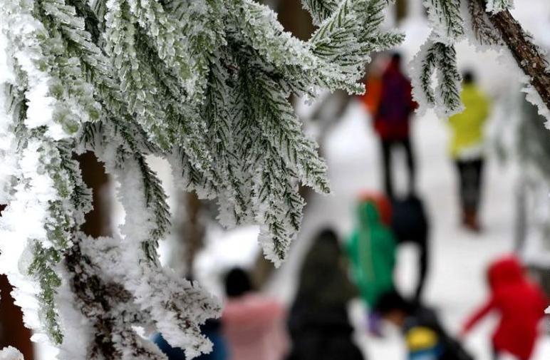 張家界武陵源現(xiàn)冰雪峰林 游人享“南國(guó)雪色”