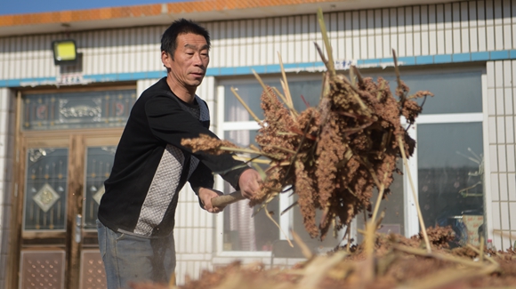 內(nèi)蒙古奈曼旗互利村闖出產(chǎn)業(yè)致富之路