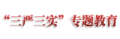 “三嚴(yán)三實(shí)”專(zhuān)題教育