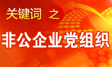 王京清：非公企業(yè)建立黨組織服務(wù)企業(yè)發(fā)展、服務(wù)員工