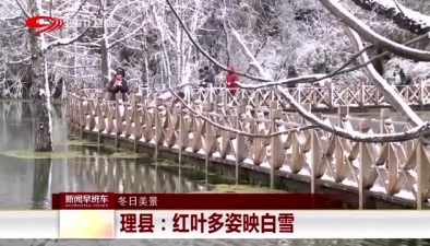 理縣：紅葉多姿映白雪