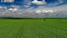 錫林郭勒草原夏日美景