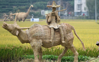 富陽：創(chuàng)意稻草人亮相稻田